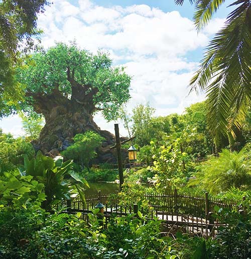 Animal Kingdom Walt Disney World 2017